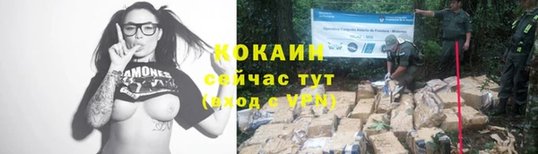 mdpv Вяземский