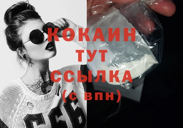 mdpv Вяземский