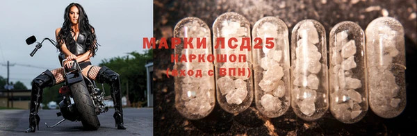 mdpv Вяземский